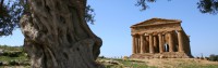 /album/galleria-fotografica/valle-dei-templi-di-agrigento-tempio-della-concordia-jpg/